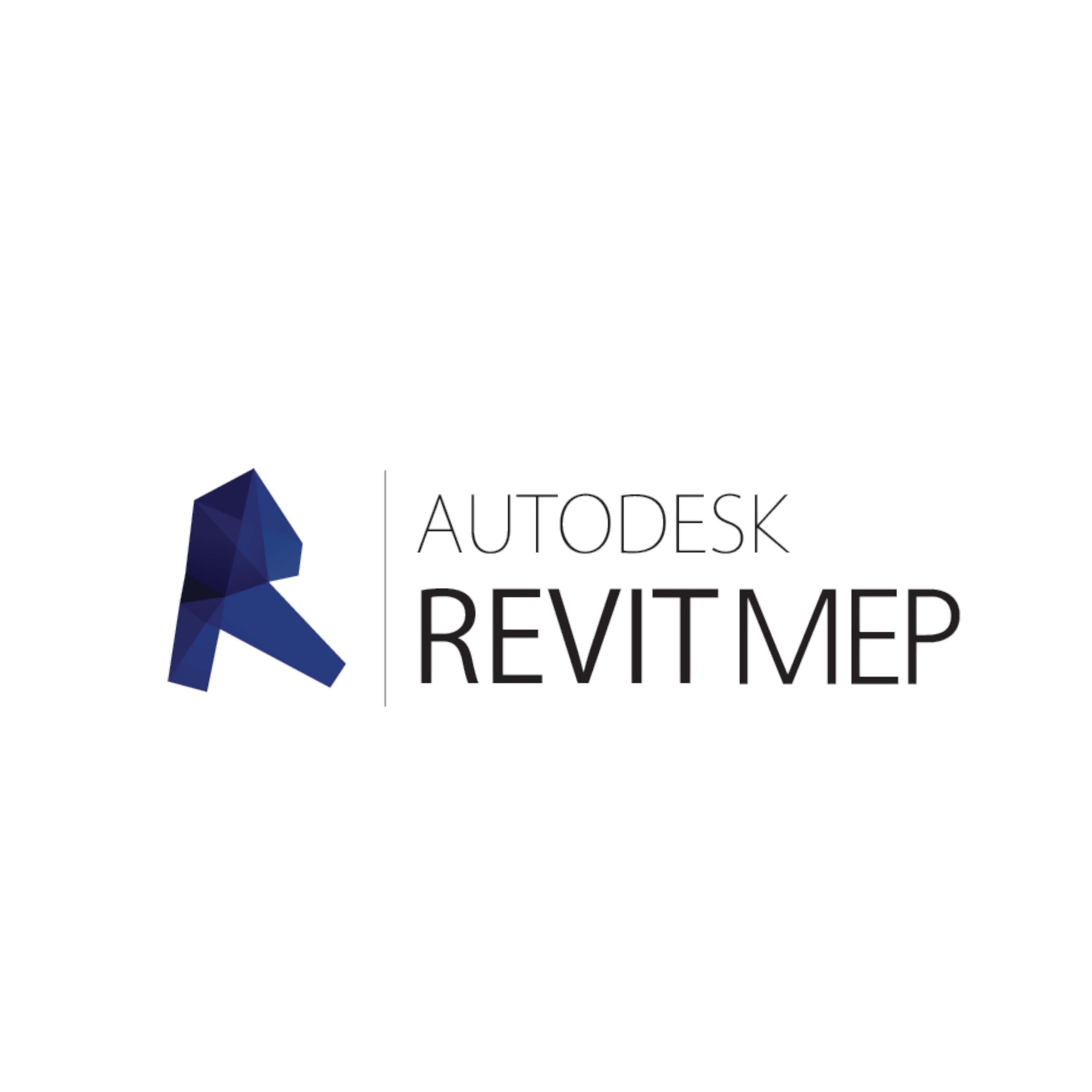 Revit MEP